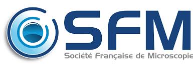 SFM Logo