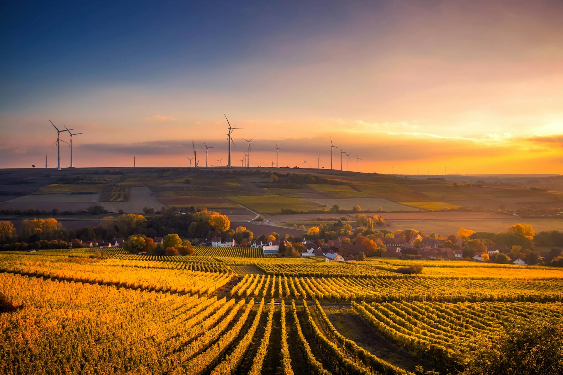 Résultats MAINTEX - secteur énergie - performance